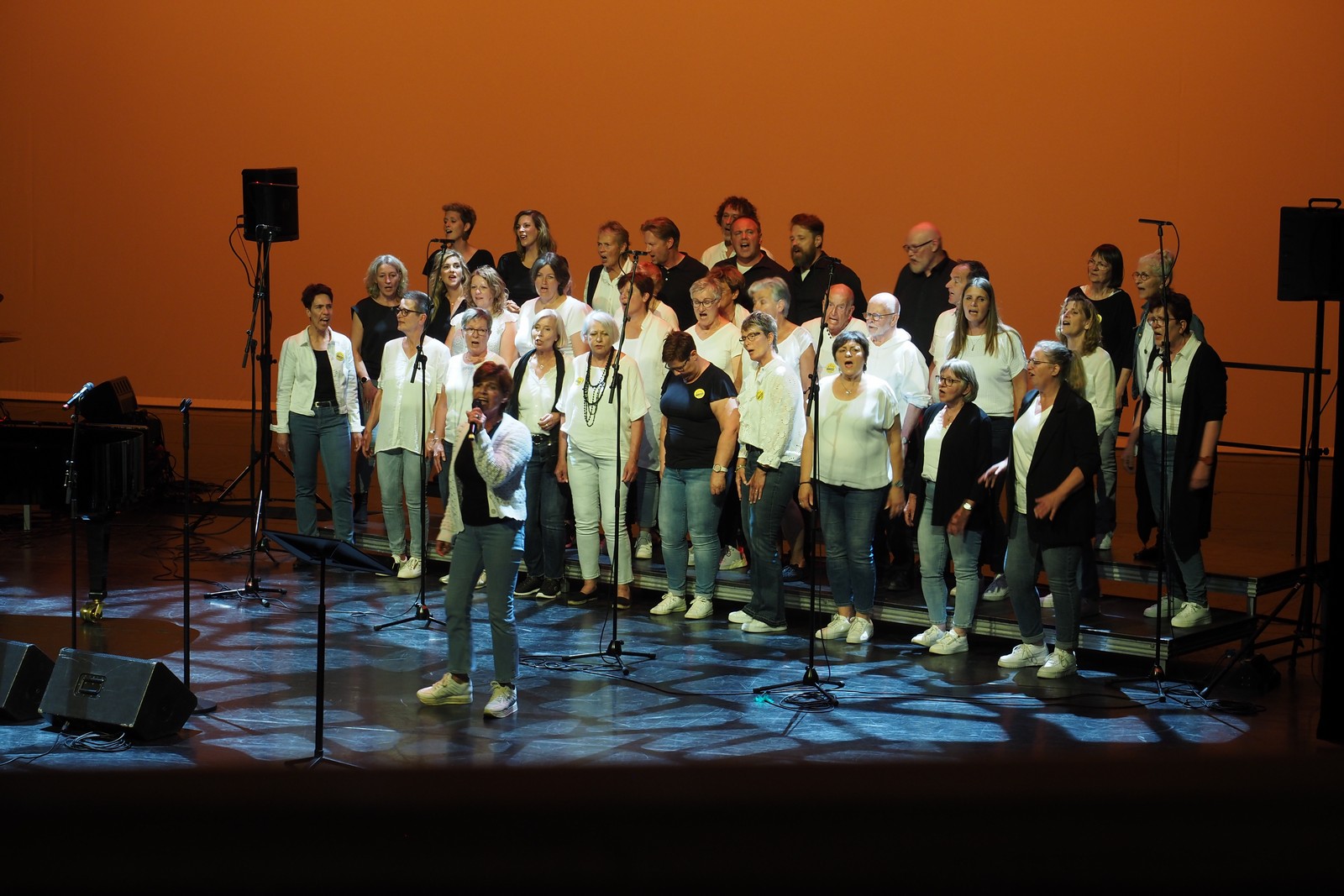 Kerst 2024: laatste optredens van de Euphonion Singers